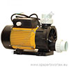 LX TDA100 Whirlpool Bath Pump with Air Switch (optional)