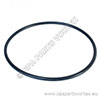 Waterway O-Ring for Filter Lid