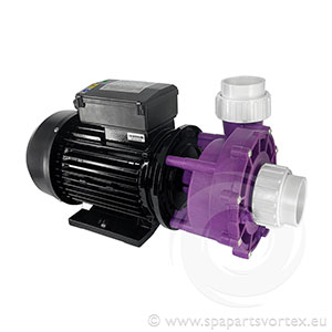 Vian Power VP200-II 2 Speed 2HP Pump