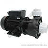 LX WP250-II Pump dual speed 2.5HP